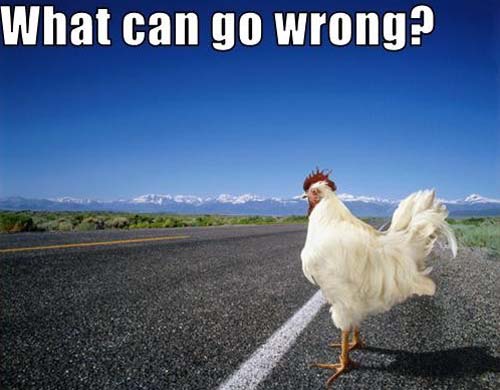 Why did the chicken cross the road? – Ad meliora